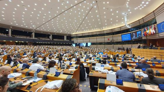 La Fundación Yuste apoya la celebración del 5º Parlamento Europeo de Personas con Discapacidad celebrado en Bruselas