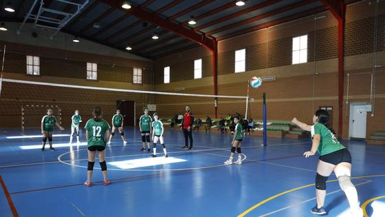 Valverde de Leganés y el deporte consiguen más de 250 kilos de alimentos solidarios