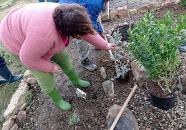 Participantes del curso realizan tareas en el huerto.