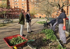 Vecinos de Aldea Moret, en Cáceres, participan en un proyecto para recuperar zonas ajardinadas
