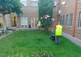Dos de los usuarios del proyecto realizando labores de mantenimiento en jardines.