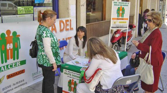 Mesa informativa de Alcer.