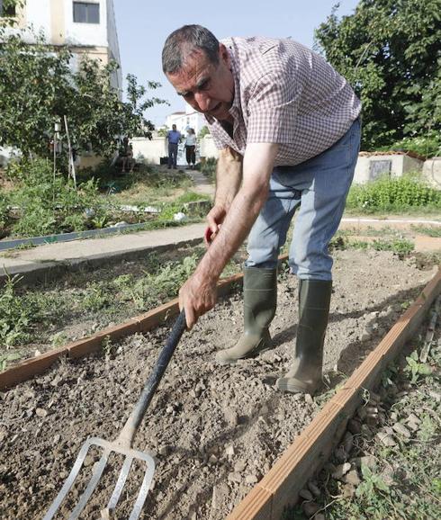Julián Román, que está ciego, prepara la tierra.