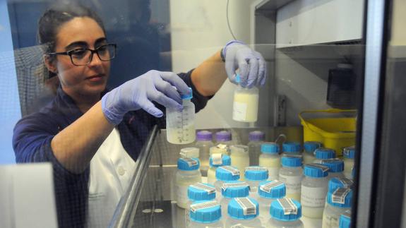 Laura Justicia introduce los botes para su congelación.
