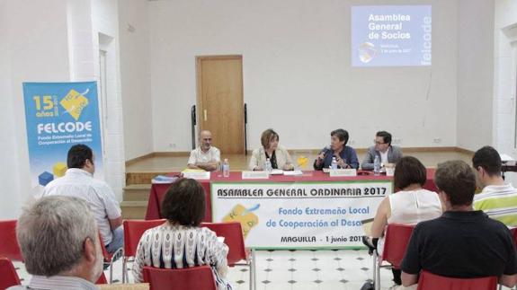 Última asamblea de Felcode.