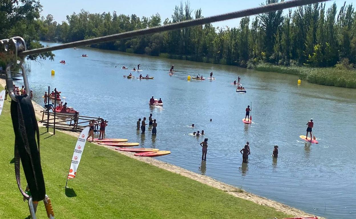 Una de las diversas activdades a desarrollar. 