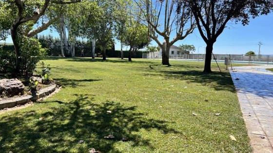 Talarrubias abrirá su piscina municipal del 22 de julio