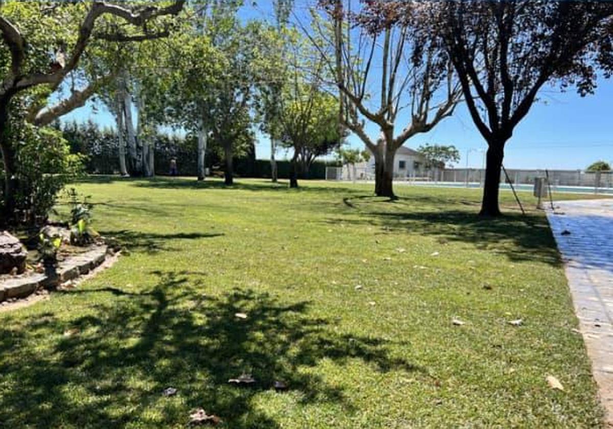 Nuevo césped de la piscina de Talarrubias.