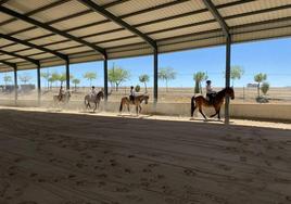 Algunos de los asistentes al campus disfrutando de los caballos.