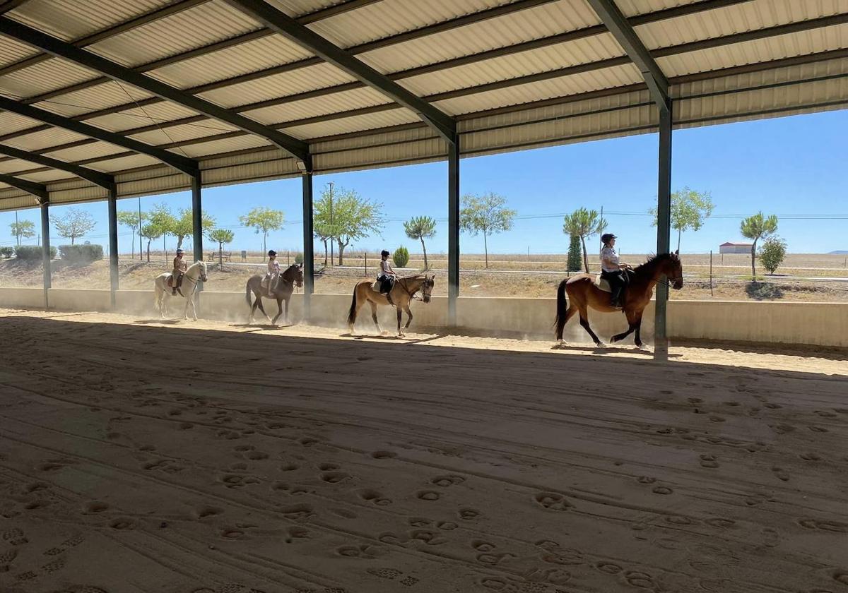Algunos de los asistentes al campus disfrutando de los caballos.