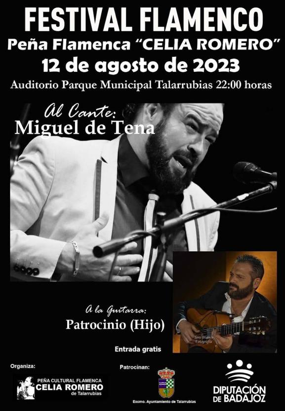 Festival Flamenco en el Auditorio del Parque Municipal