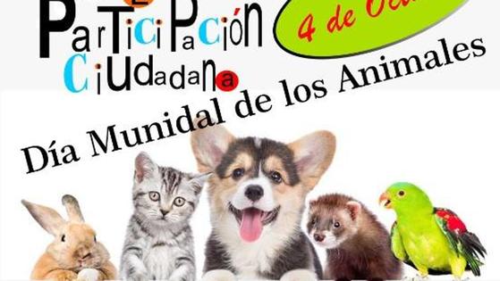 Concurso de fotografía por el Día Mundial de los Animales