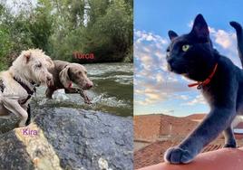 Fotografías ganadoras del concurso.