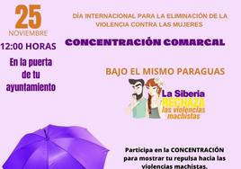 Concentración por el Día Internacional para la Eliminación de la Violencia Contra las Mujeres