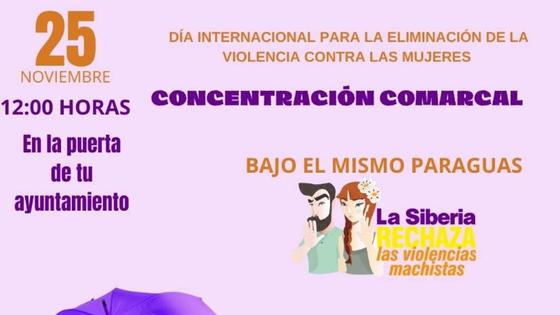 Concentración por el Día Internacional para la Eliminación de la Violencia Contra las Mujeres
