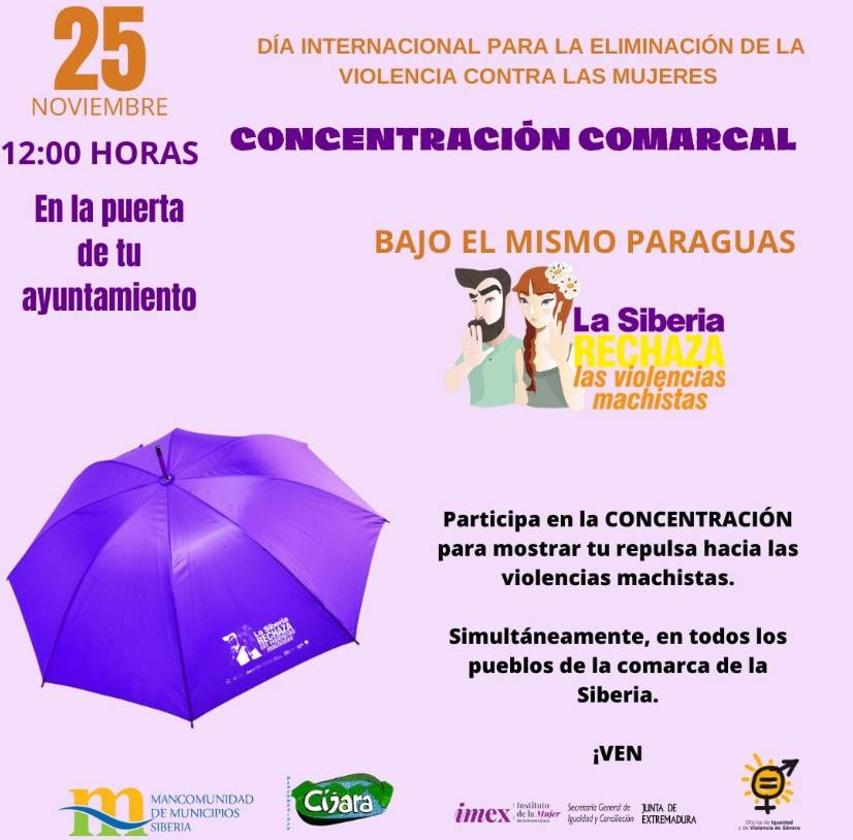 Concentración por el Día Internacional para la Eliminación de la Violencia Contra las Mujeres
