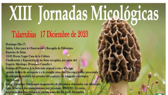 Talarrubias celebra sus XIII Jornadas Micológicas