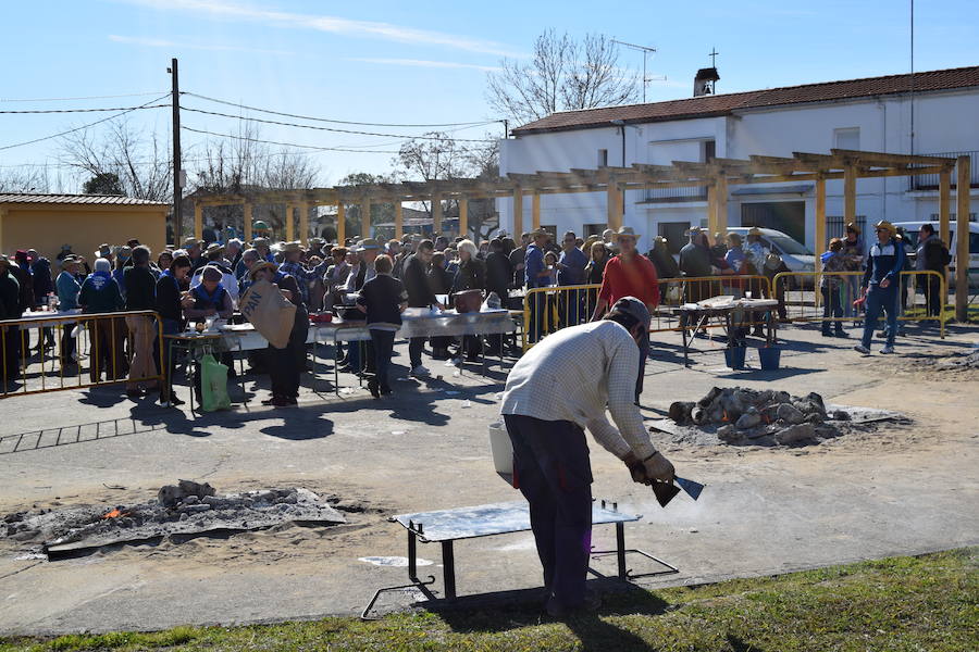 Fotos: Matanza Popular en Barquilla de Pinares 2019