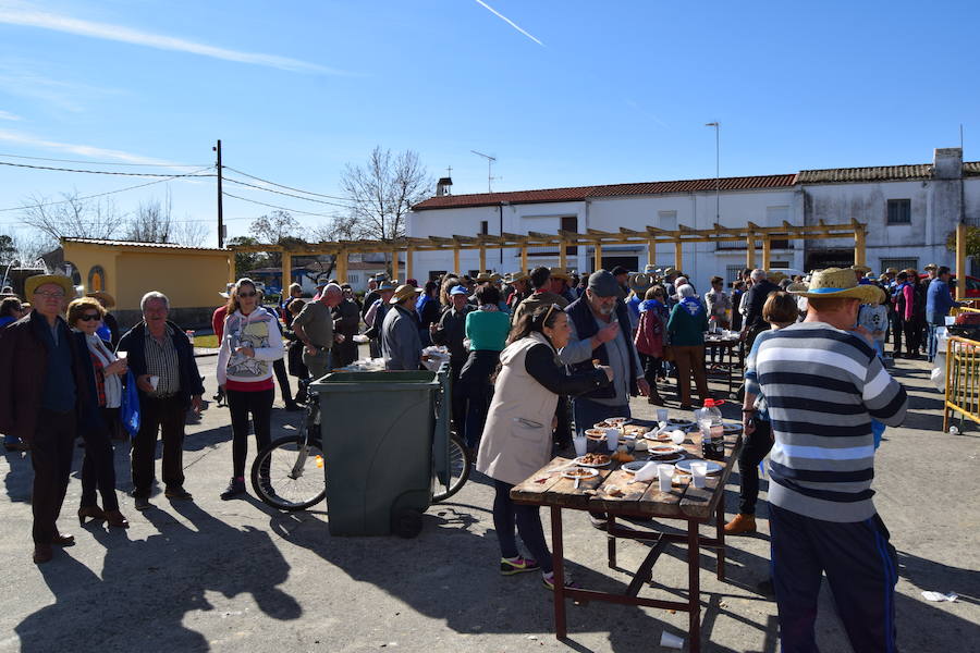 Fotos: Matanza Popular en Barquilla de Pinares 2019
