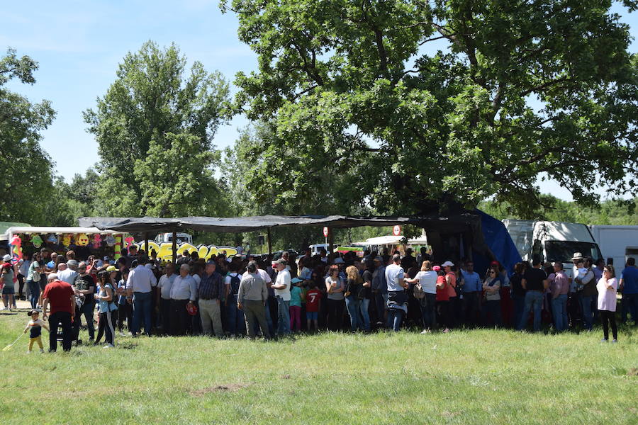 55 Aniversario de la Romería de la Virgen de Guadalupe en Barquilla de Pinares. Fina la Solana.