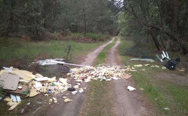 Varios vecinos denuncian basura acumulada en el pinar y en la dehesa