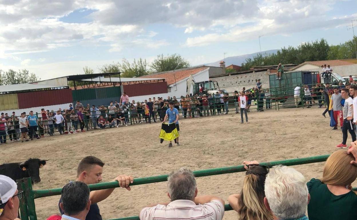 Actividades ecuestres y para los más pequeños para despedir las fiestas de Santa María