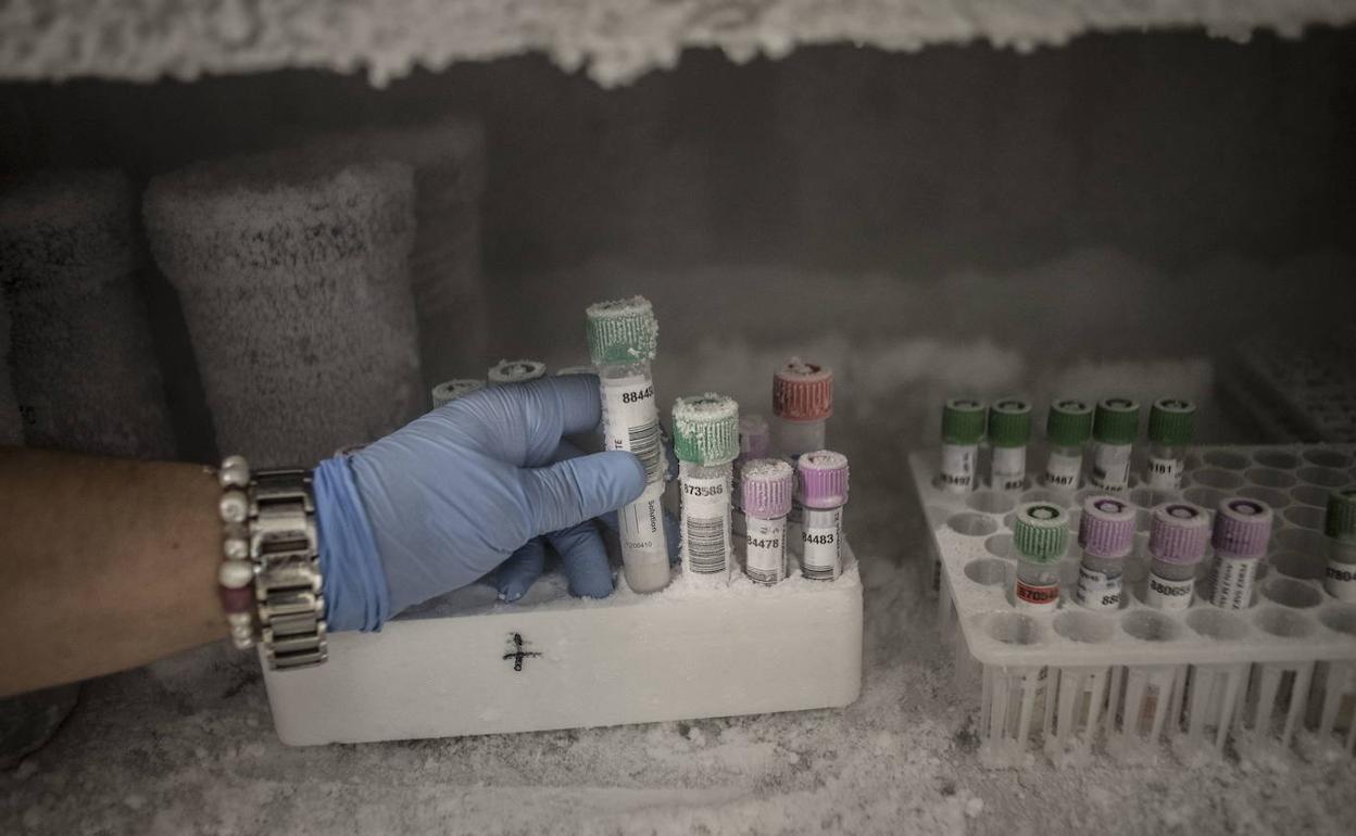 El Área de Salud notifica que no se han registrado casos positivos en la última jornada