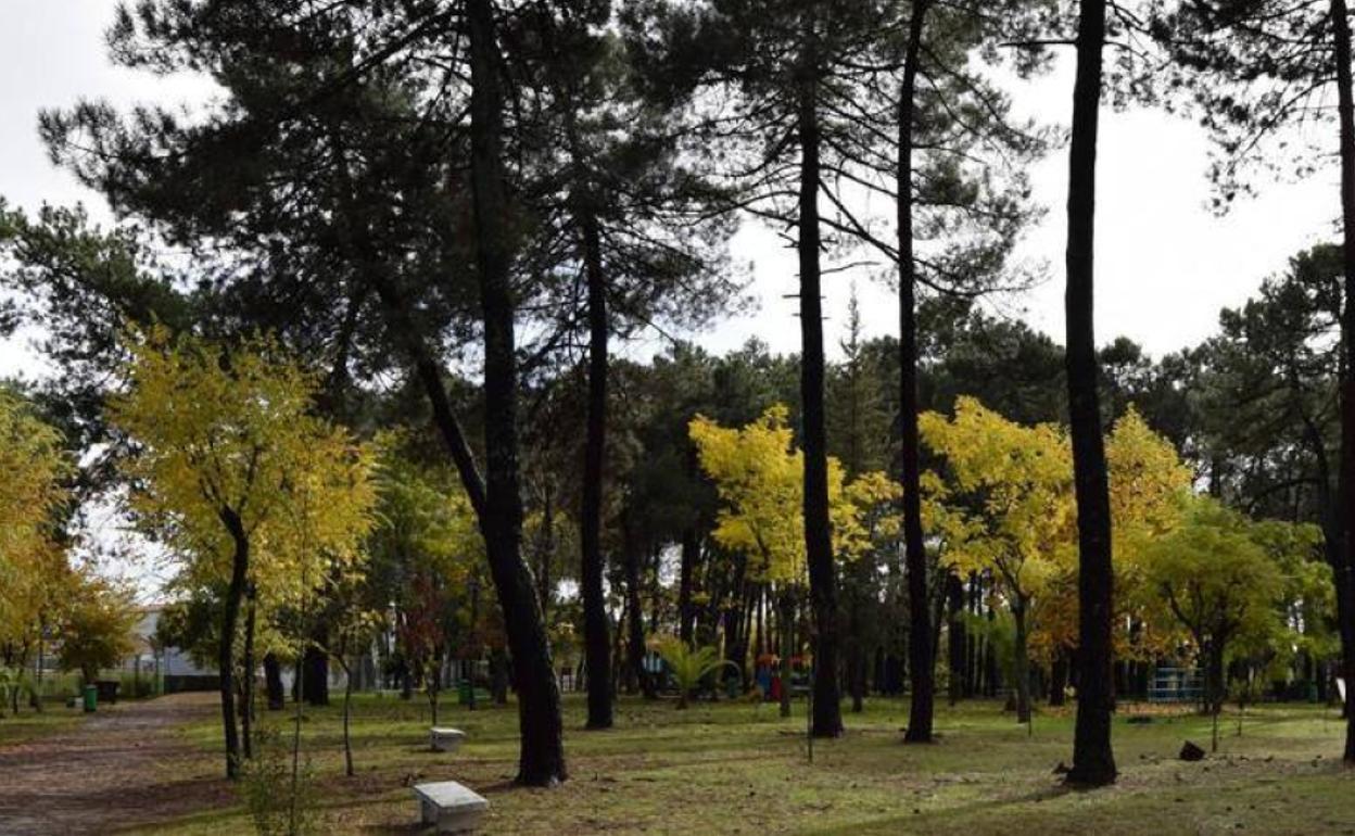 El Ayuntamiento de Talayuela abrirá esta semana los parques