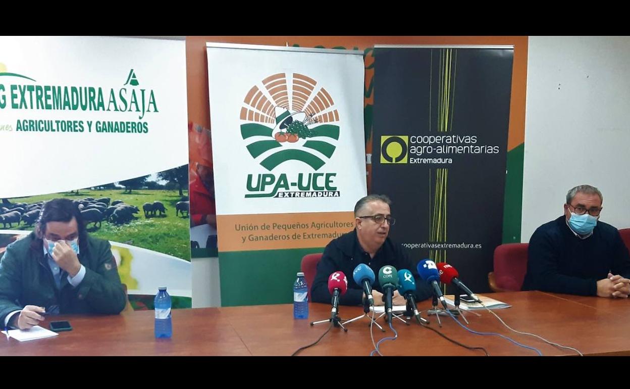 Organizaciones agrarias y cooperativas convocan a los tabaqueros extremeños para establecer acciones con las que reivindicar precios justos