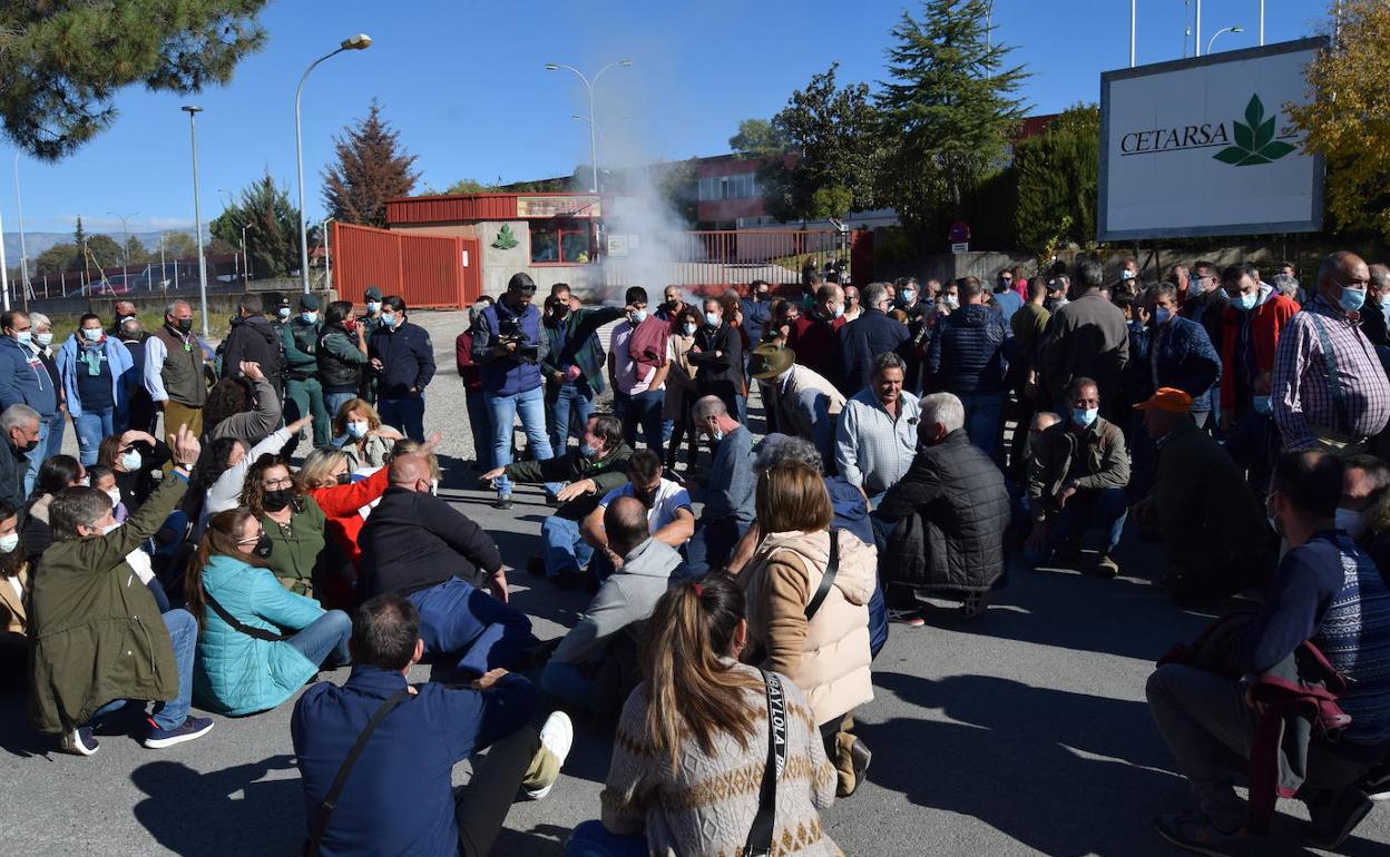 Cientos de tabaqueros paralizan las entregas en protesta por los bajos precios