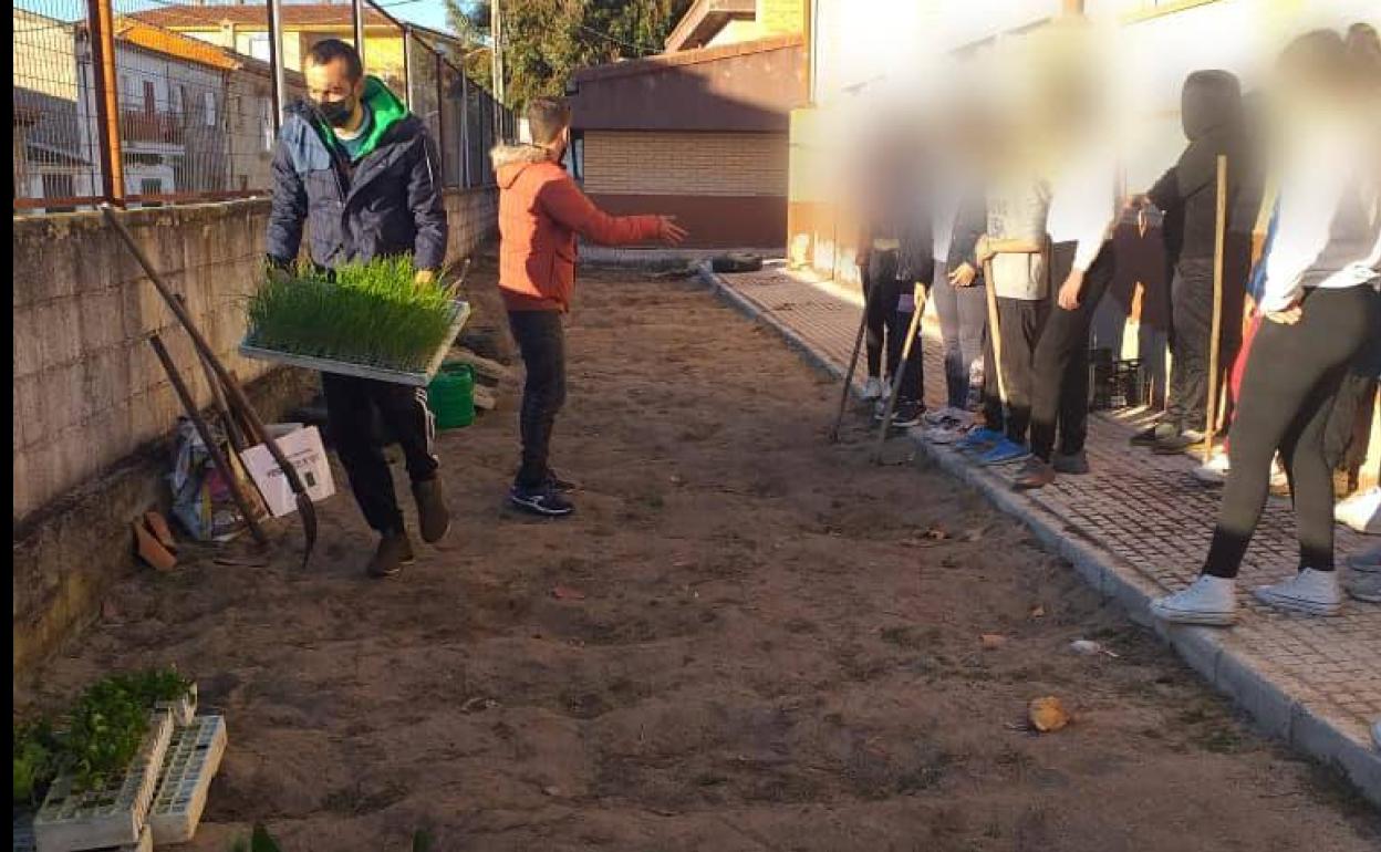 Los alumnos del Gonzalo Encabo utilizan el huerto escolar como laboratorio para el aprendizaje