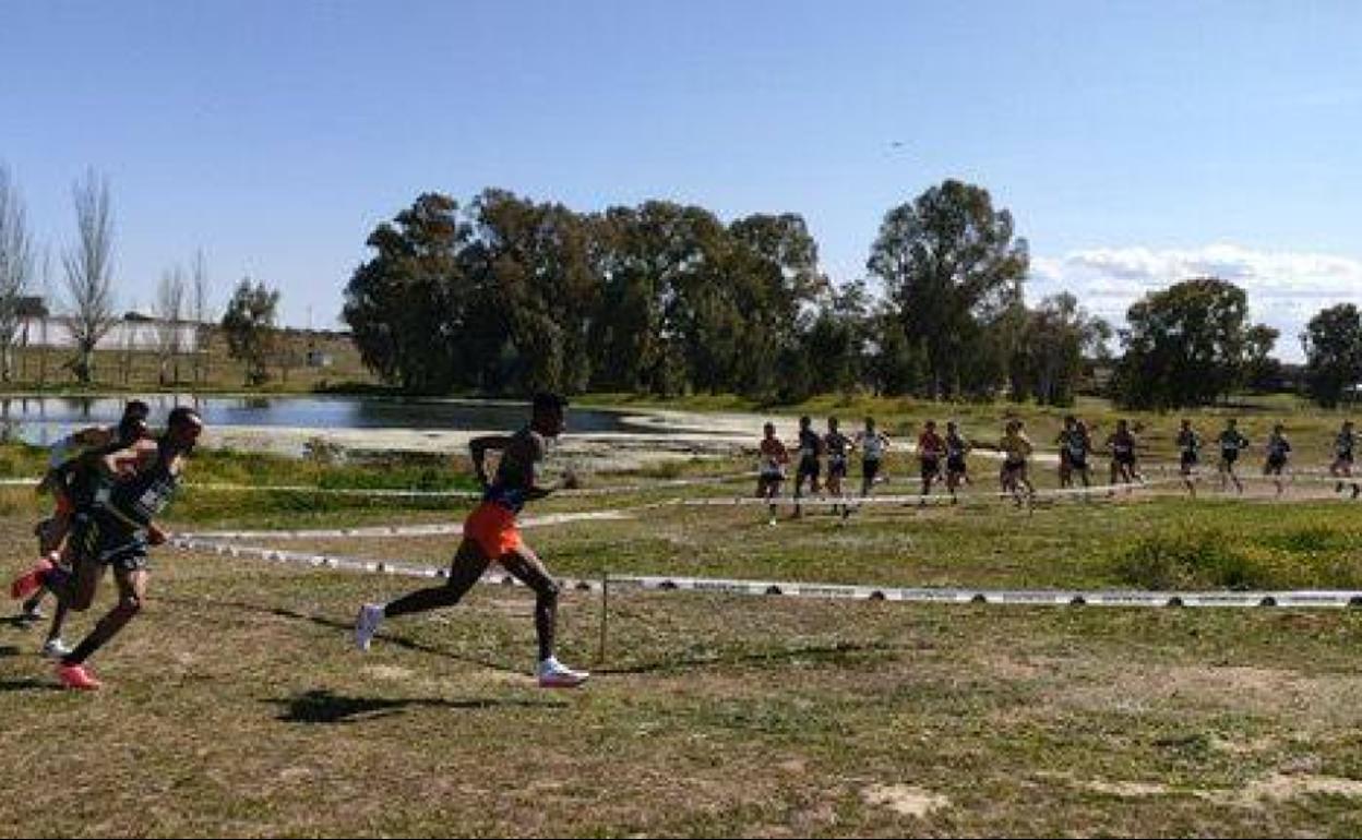 Houssame Benabbou clasifica undécimo en el Gran Premio Cáceres de Campo a Través celebrado en Serradilla