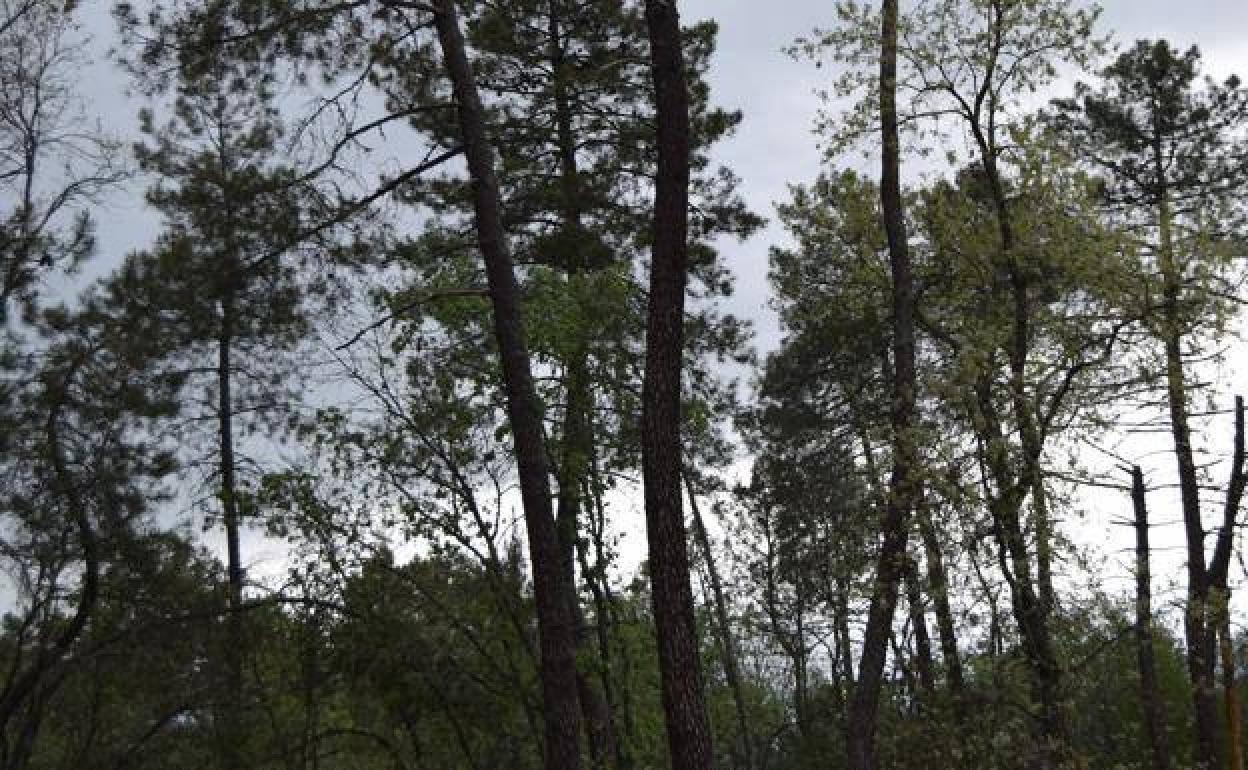 Un Curso para poner en valor el parque Natural y la historia de nuestro entorno
