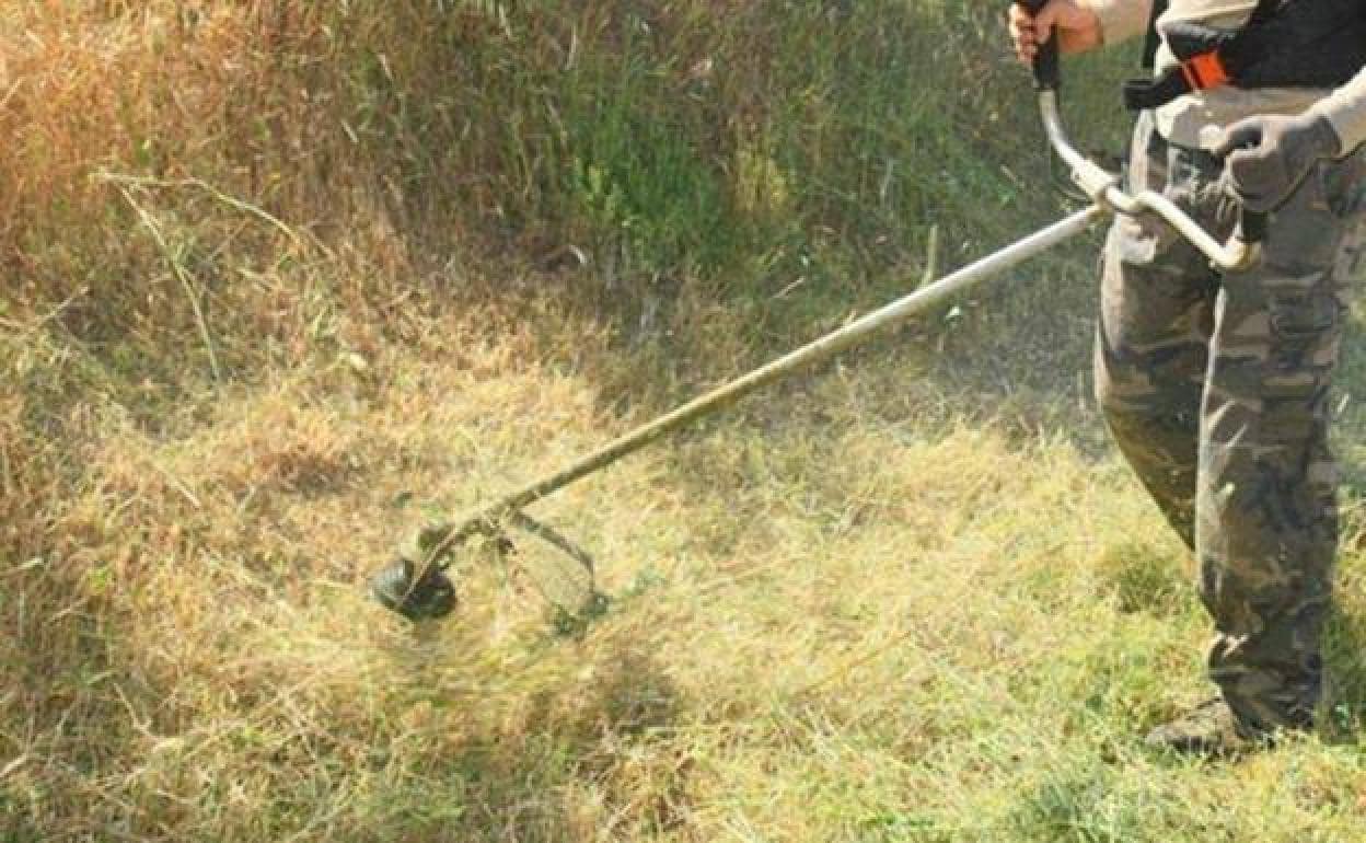 Un bando recuerda la obligación de limpiar los pastos en las parcelas del casco urbano