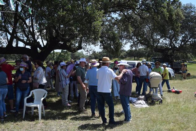 Fotos: Romería en honor a la Virgen de la Asunción, Talayuela 2022