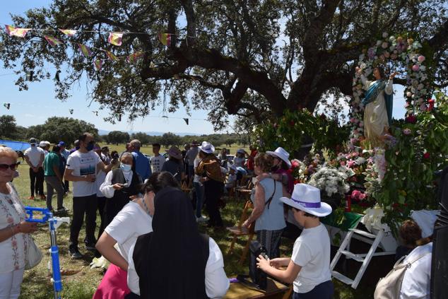 Fotos: Romería en honor a la Virgen de la Asunción, Talayuela 2022