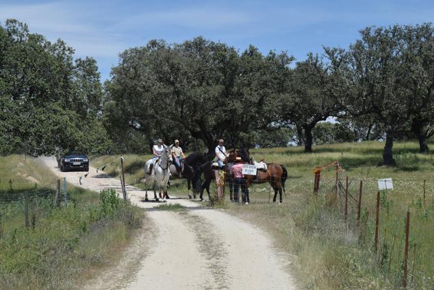 Fotos: Romería en honor a la Virgen de la Asunción, Talayuela 2022