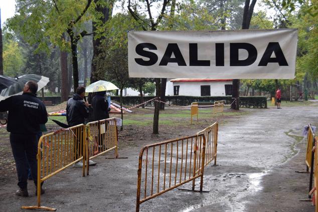 Fotos: Aned organiza la primera edición de la carrera popular 'Pinar de Talayuela'