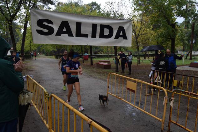 Fotos: Aned organiza la primera edición de la carrera popular 'Pinar de Talayuela'