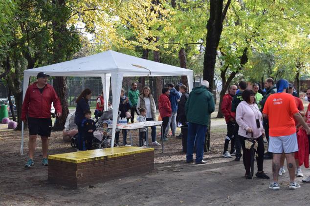 Fotos: Aned organiza la primera edición de la carrera popular 'Pinar de Talayuela'