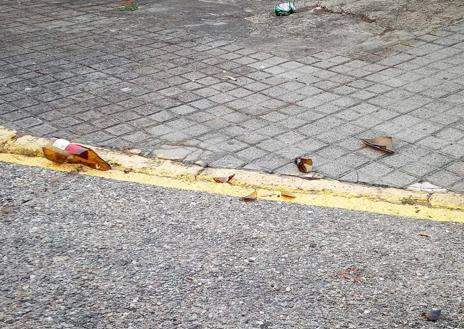 Imagen secundaria 1 - Basura y botellas rotas en el suelo.