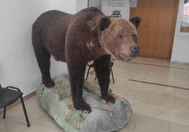 El Oso Hércules en las puertas del Ayuntamiento.