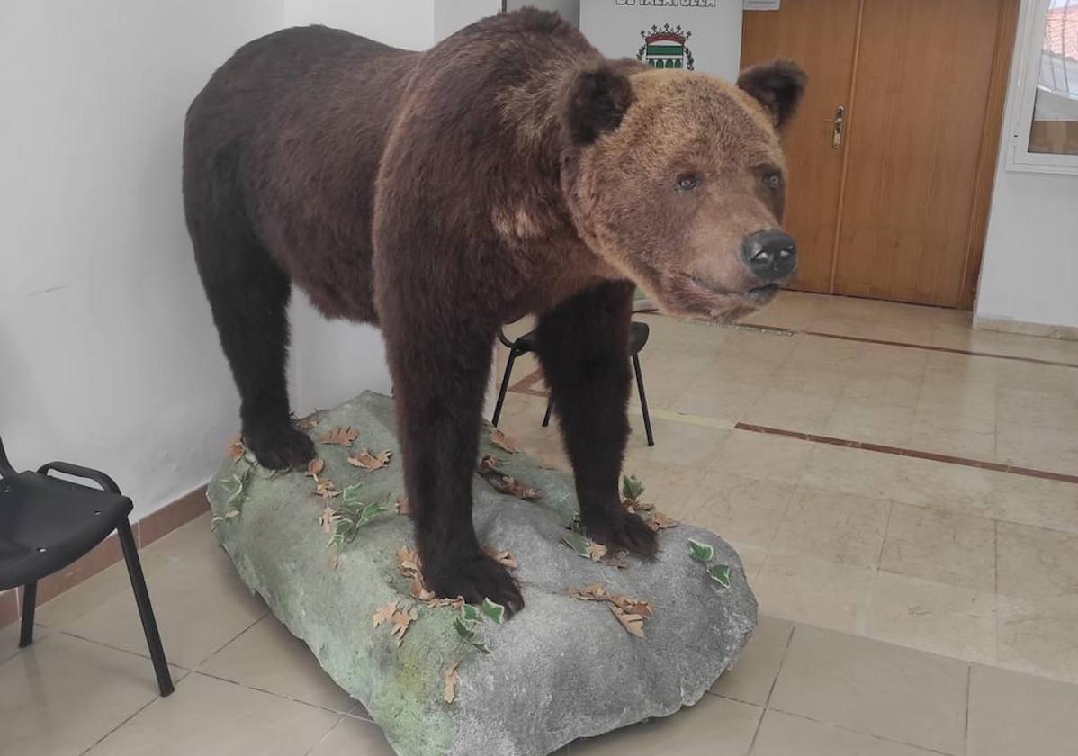 El Ayuntamiento rescata al Oso Hércules para su exposición