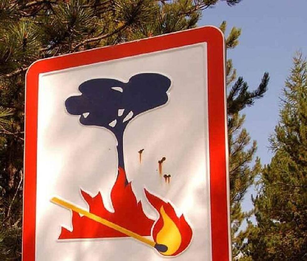 El pasado miércoles se localizaron en Talayuela 6 focos diferentes de incendios provocados