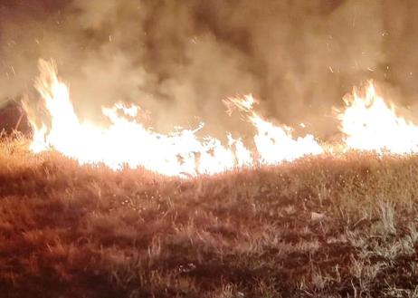 Imagen secundaria 1 - El fin de semana se controló un fuego en Talayuela