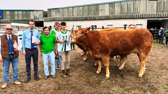 La ganadería Hermanos Ruano triunfa en Trujillo