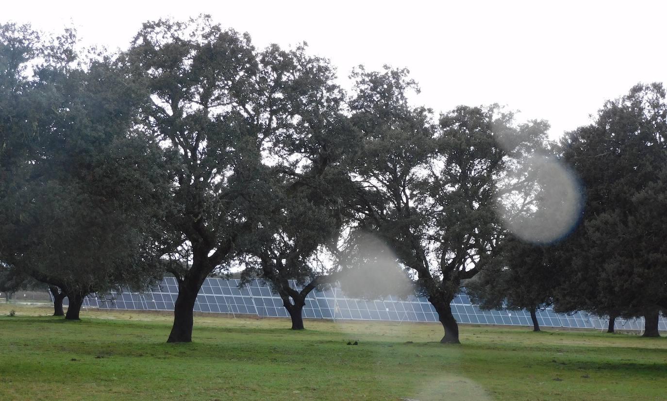Talayuela II, energía limpia, autóctona y asequible en mitad de la dehesa