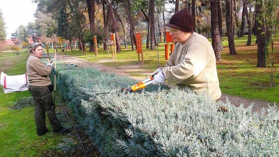 La Cámara de Comercio oferta un curso de auxiliar de jardinería para jóvenes desempleados
