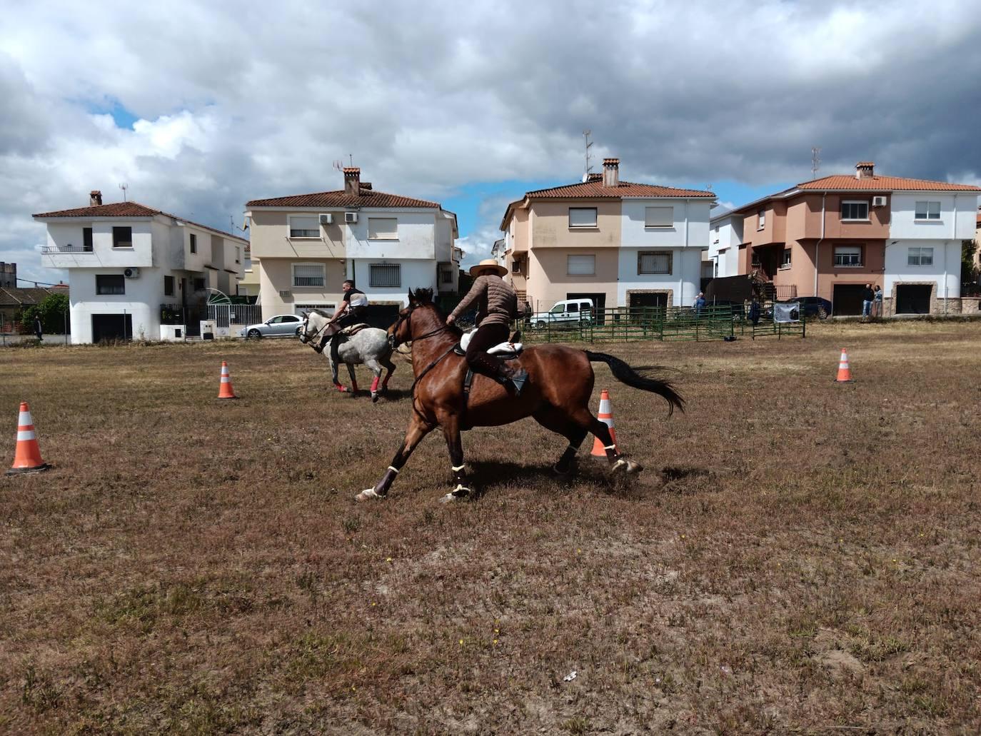 Talayuela despide a San Marcos... hasta el año que viene