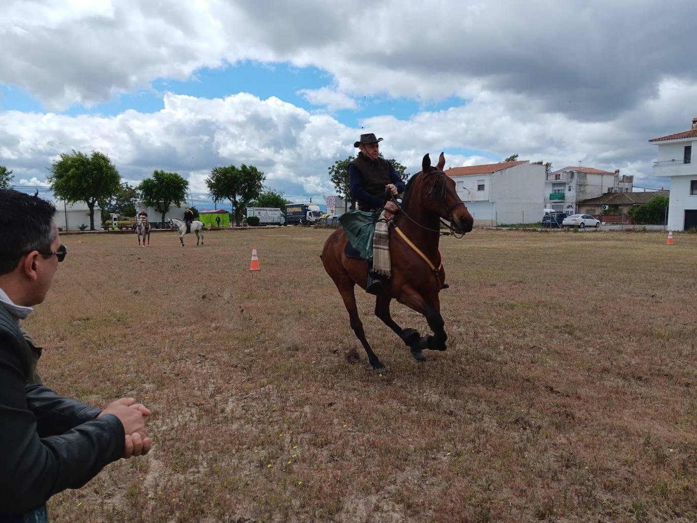 Talayuela despide a San Marcos... hasta el año que viene
